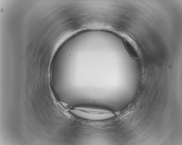 X0000086931191200705071345