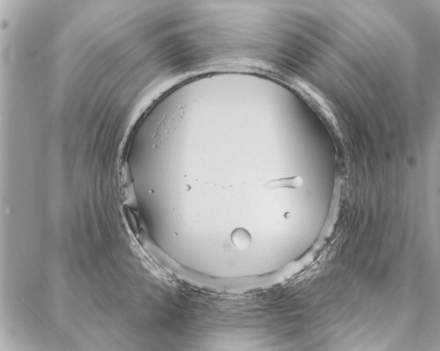 X0000086931192200705071345