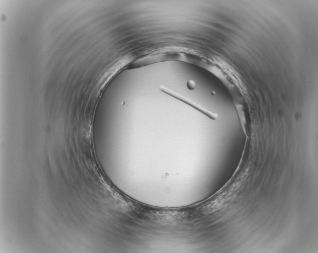 X0000086931193200705071345