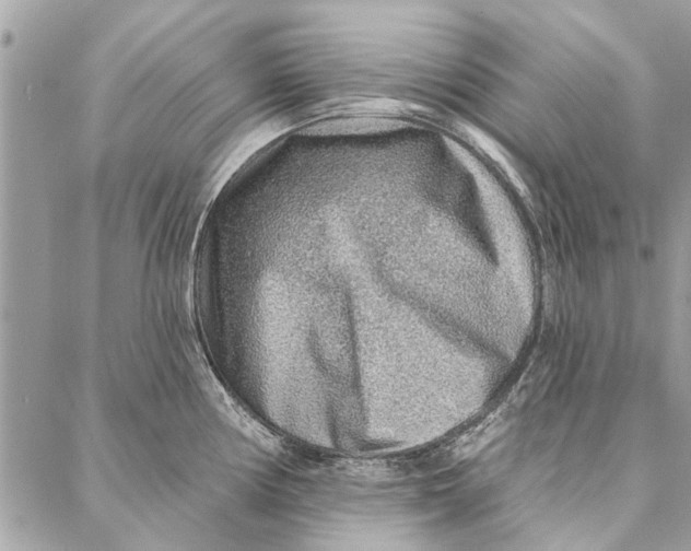 X0000086931194200705071345