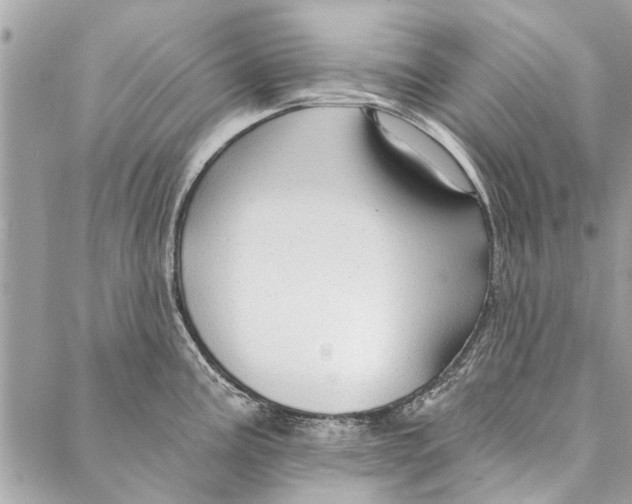 X0000086931195200705071345