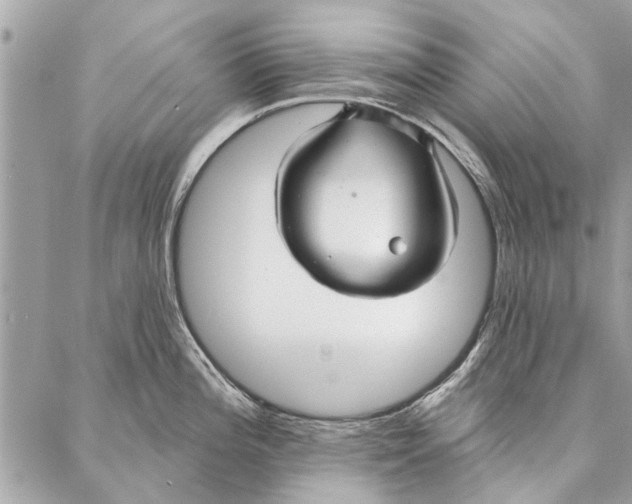 X0000086931196200705071345