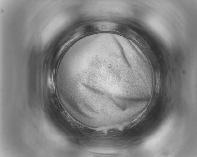 X0000086931198200705071345