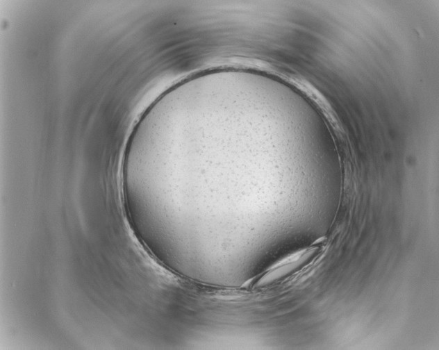 X0000086931199200705071345