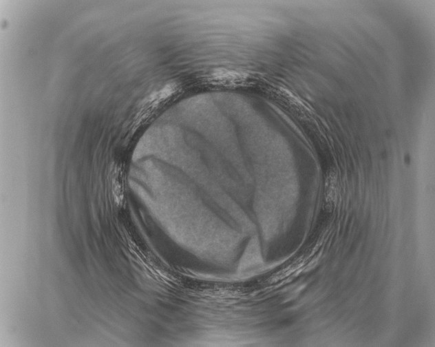 X0000086931202200705071344