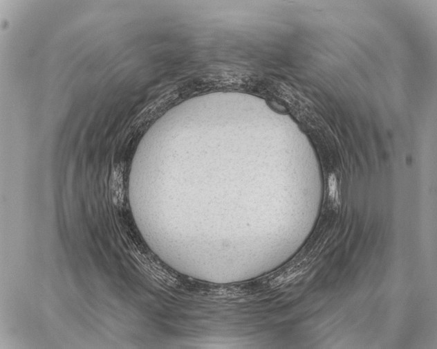 X0000086931203200705071344