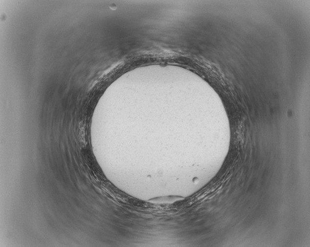 X0000086931205200705071344