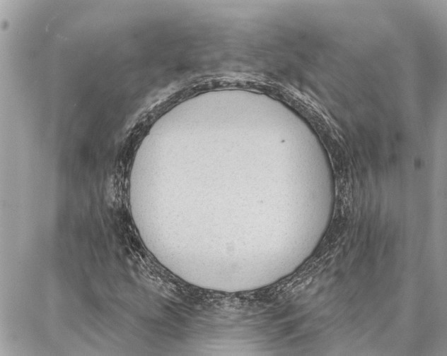 X0000086931207200705071344