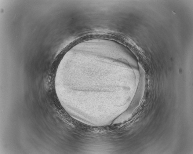 X0000086931208200705071344