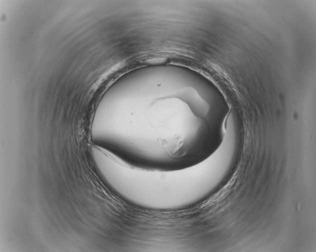 X0000086931210200705071344