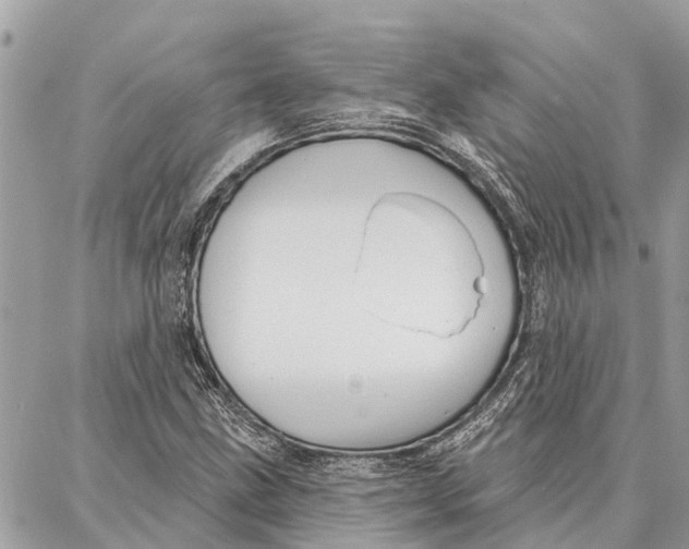 X0000086931211200705071344