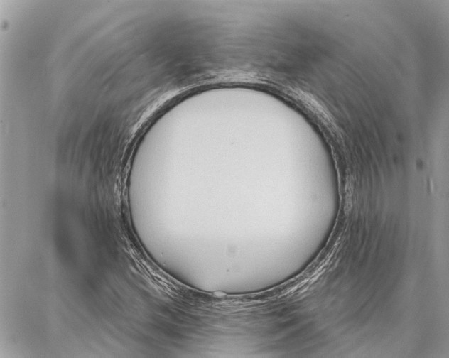 X0000086931212200705071344