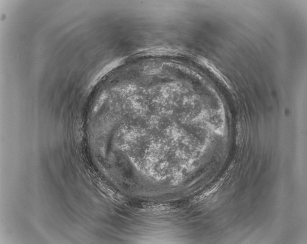 X0000086931213200705071344