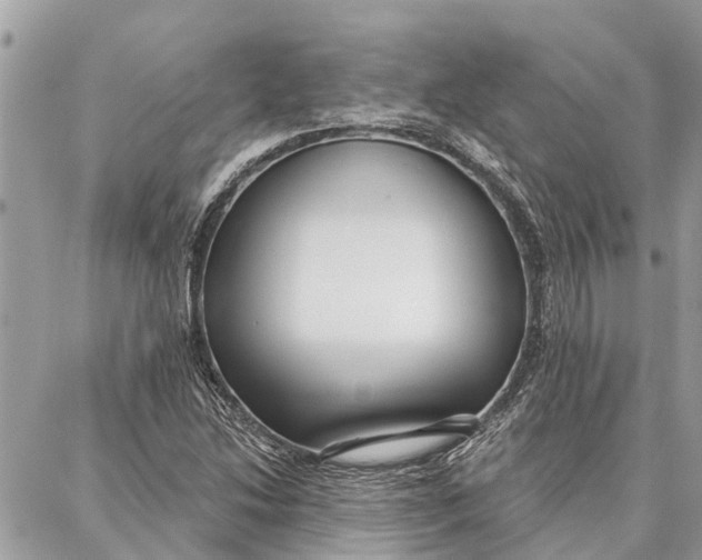 X0000086931214200705071344