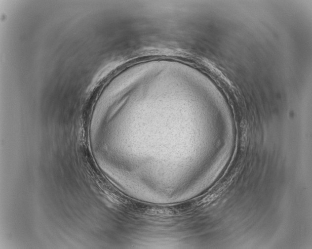 X0000086931215200705071345