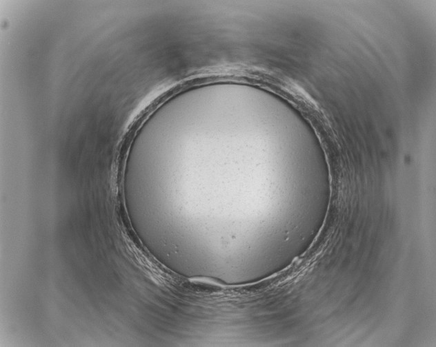 X0000086931216200705071345