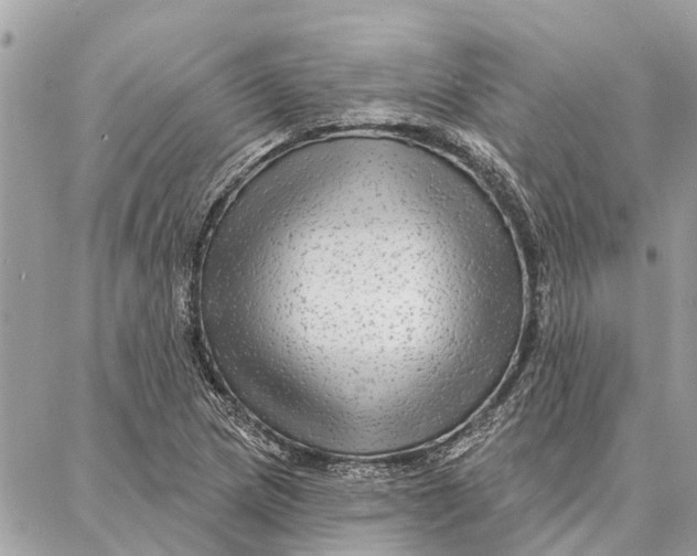 X0000086931217200705071345