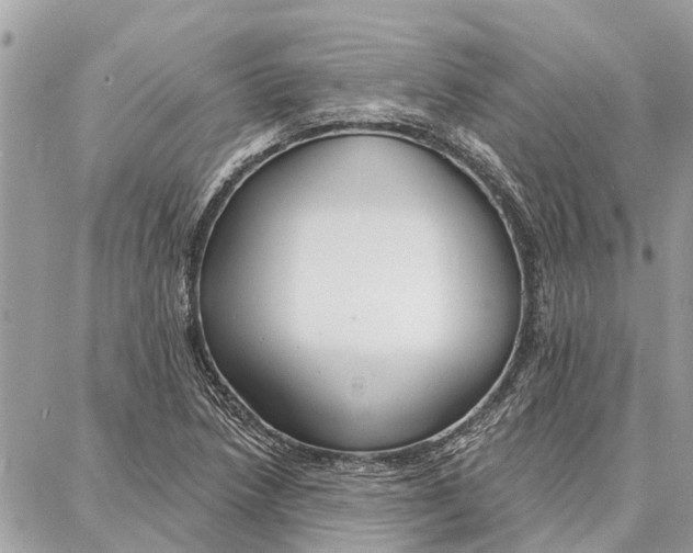 X0000086931218200705071345