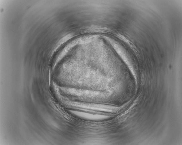 X0000086931219200705071345