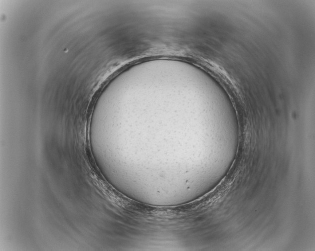 X0000086931220200705071345