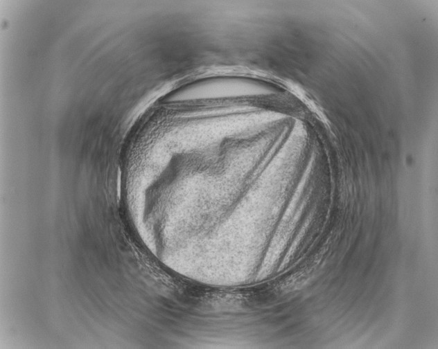 X0000086931221200705071345