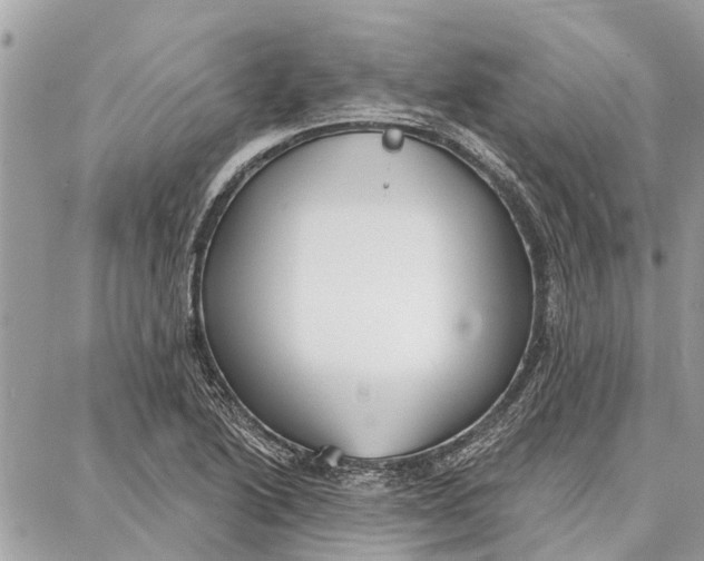 X0000086931222200705071345