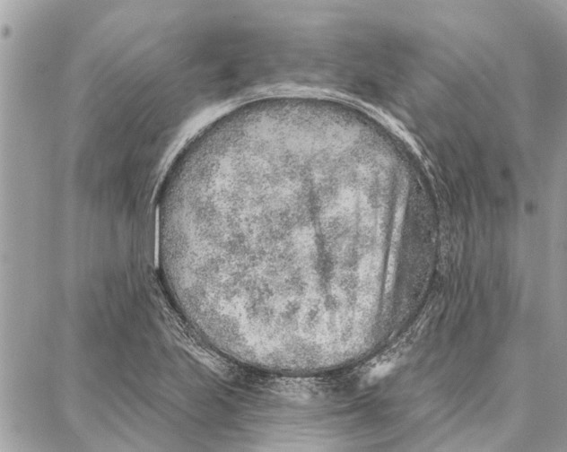 X0000086931223200705071345