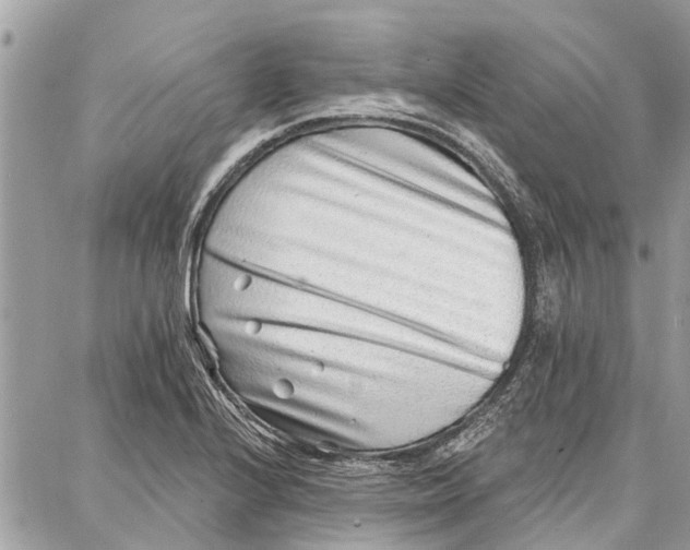 X0000086931224200705071345