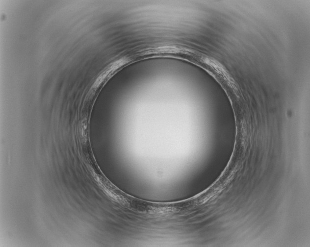 X0000086931225200705071345