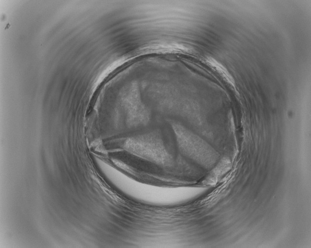 X0000086931226200705071345