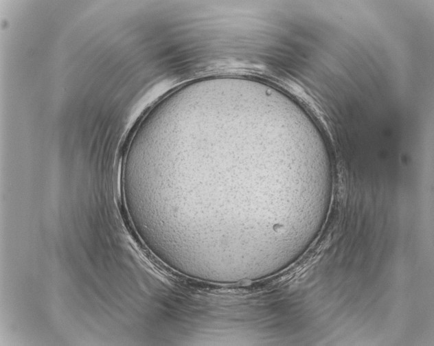 X0000086931227200705071345