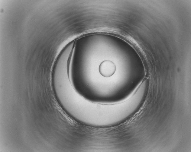 X0000086931230200705071345