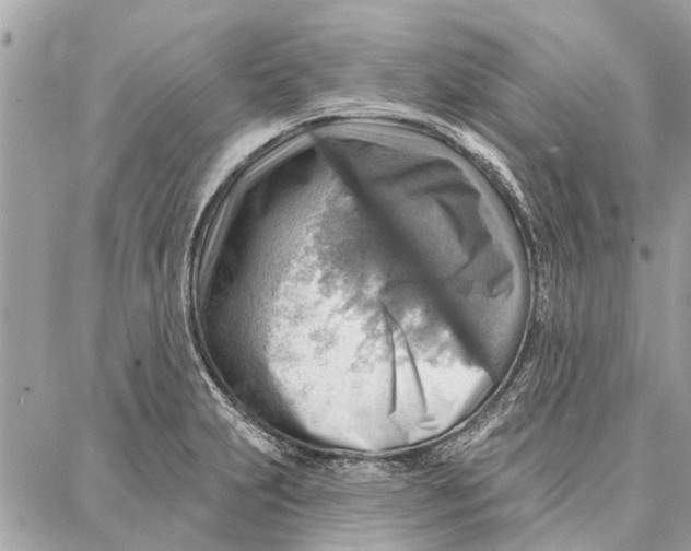 X0000086931231200705071345