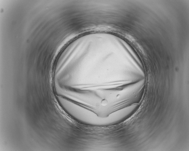 X0000086931232200705071345