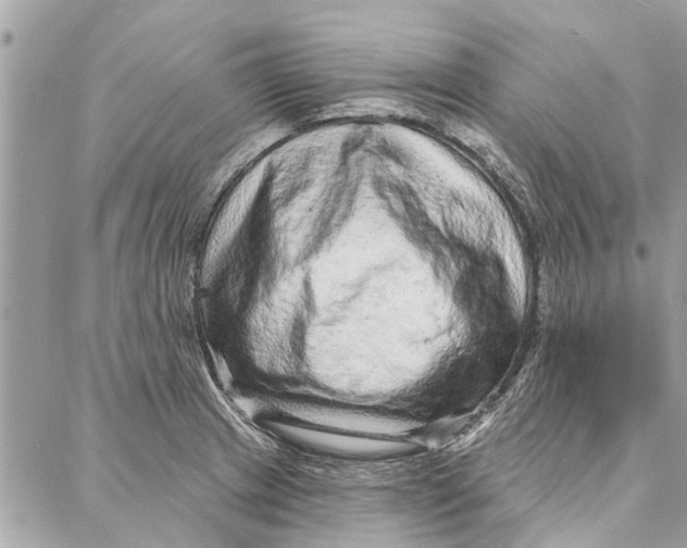 X0000086931233200705071345