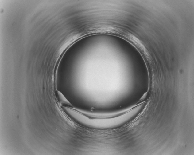 X0000086931234200705071345