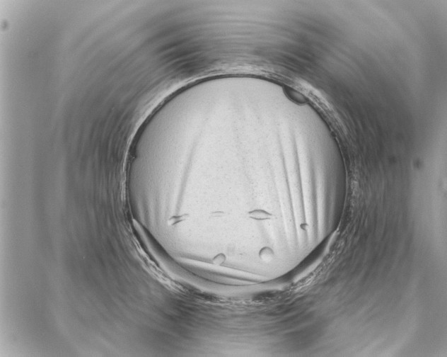 X0000086931236200705071345