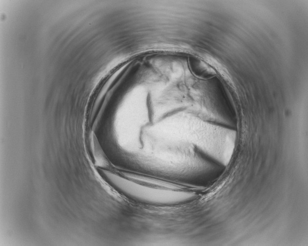 X0000086931237200705071345