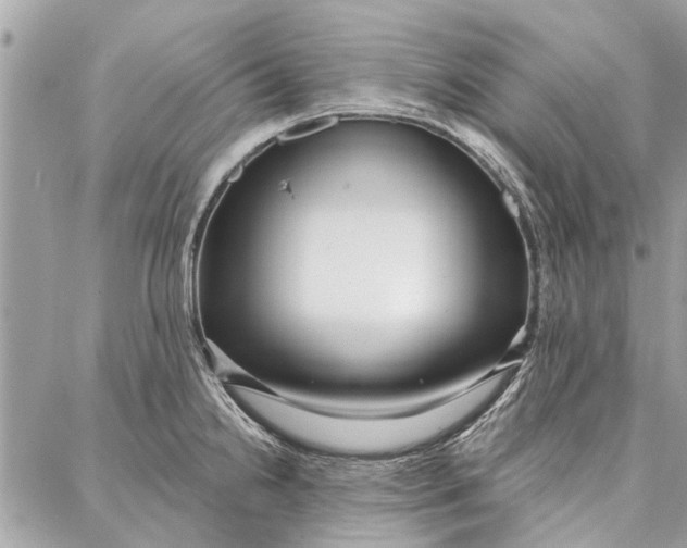 X0000086931238200705071345