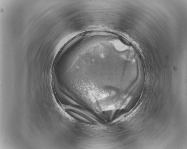 X0000086931239200705071345