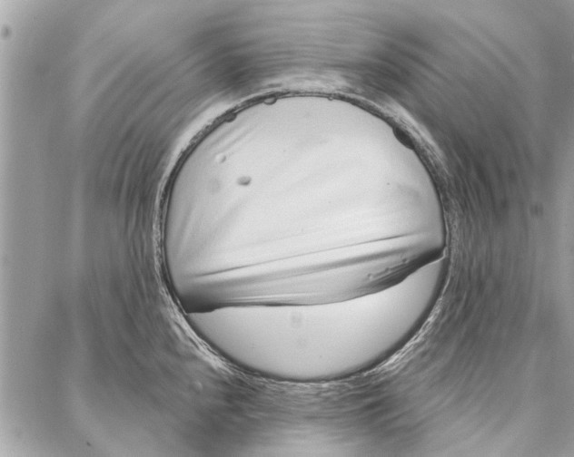 X0000086931240200705071345