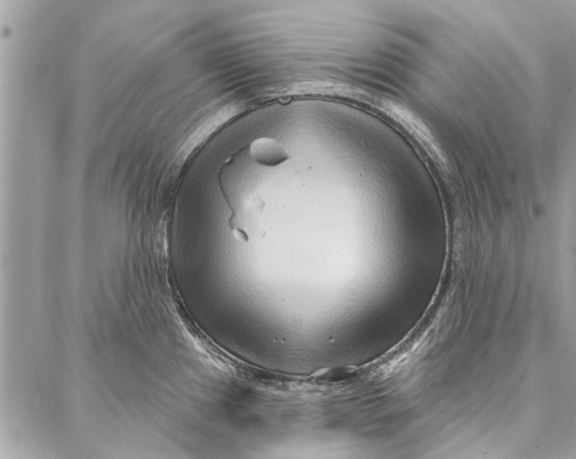 X0000086931241200705071345