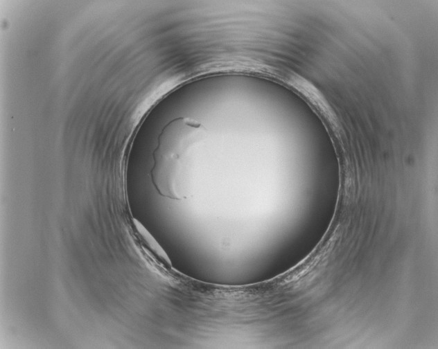 X0000086931242200705071345