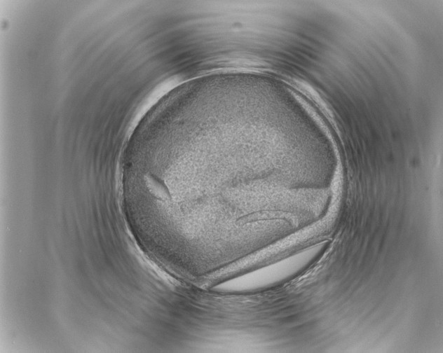 X0000086931243200705071345