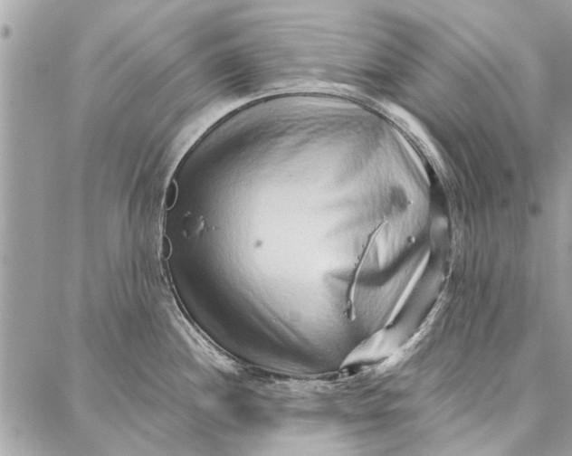 X0000086931244200705071345