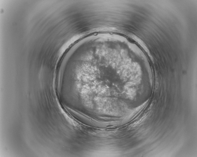 X0000086931245200705071345