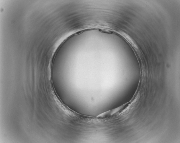 X0000086931246200705071345