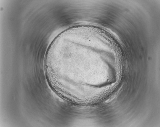 X0000086931247200705071345