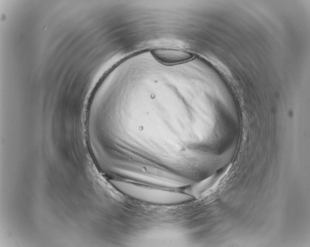 X0000086931248200705071345