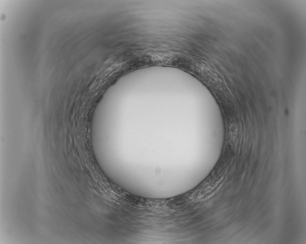 X0000086931249200705071344